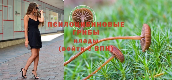 ГАЛЛЮЦИНОГЕННЫЕ ГРИБЫ Алзамай